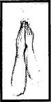 2 Hands Fisting