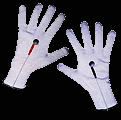 Electro Gloves